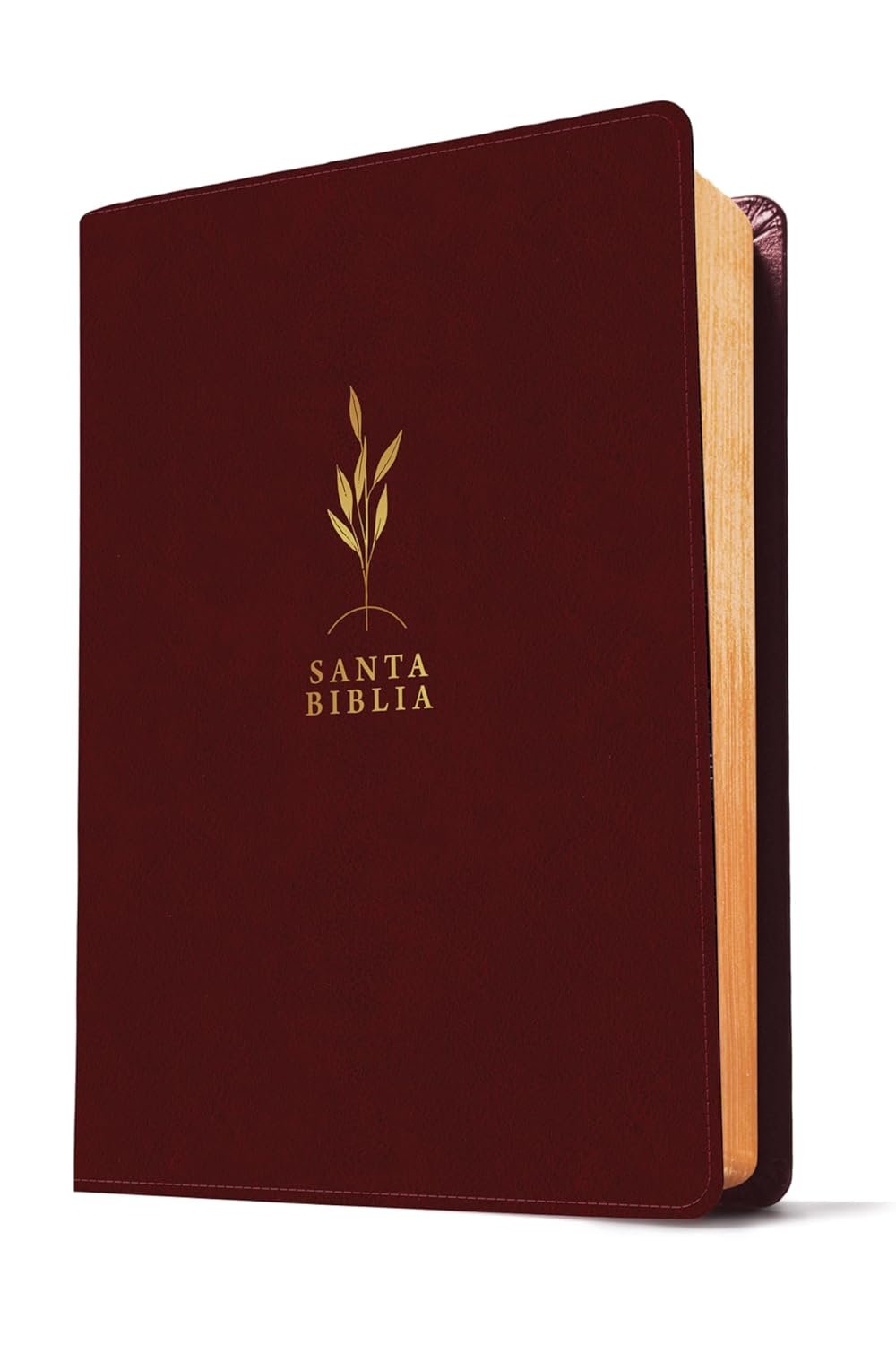 Biblia de estudio del diario vivir RVR60 (SentiPiel, Negro/Ónice