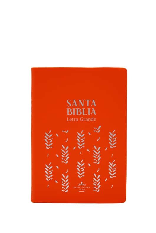 Biblia RVR042cLG SR ANARANJADO