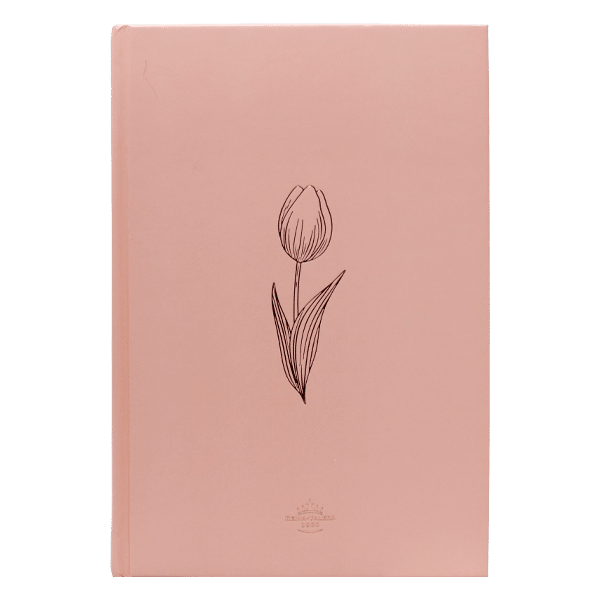 Biblia Reina Valera 1960 Letra Grande Tapa dura Minimalista Rosado
