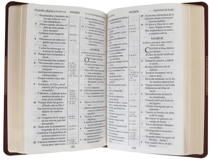 Biblia Reina Valera 1909 Letra Grande imitación piel Café | Tienda